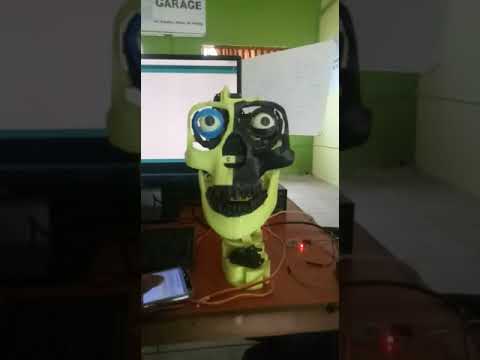 Mona , a piece of Andro-humanoid robot