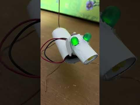 Motion Detecting Dog Video 1