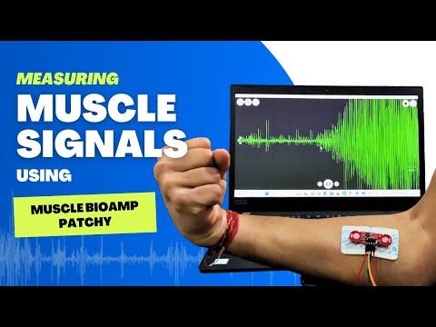 Muscle BioAmp Patchy Demo | Wearable Muscle Sensor (EMG) | DIY Neuroscience