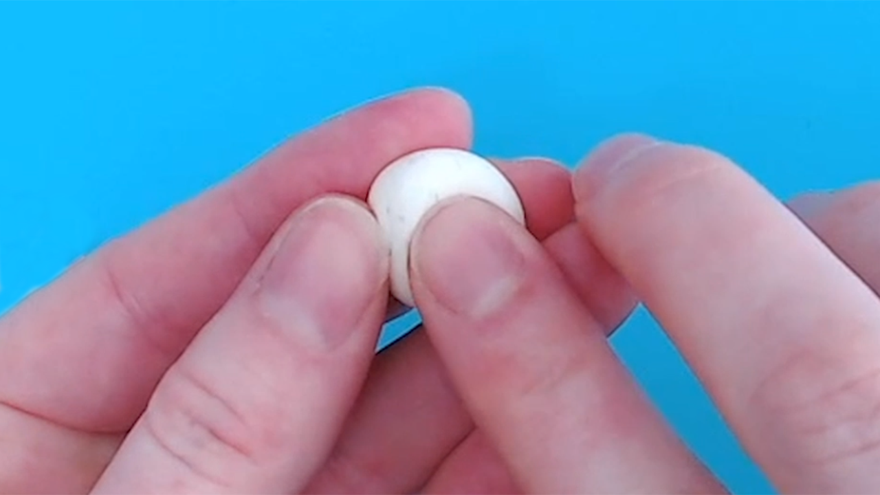 Mushroom1.png