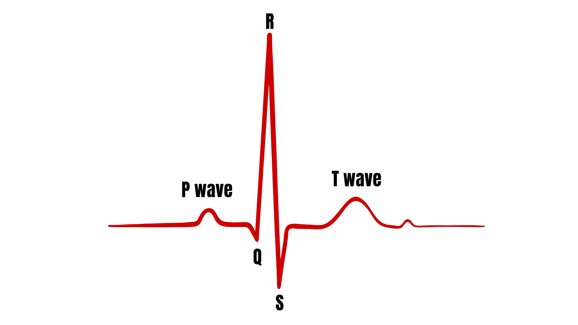 NPG Lite Cardio YT Video Assests.png