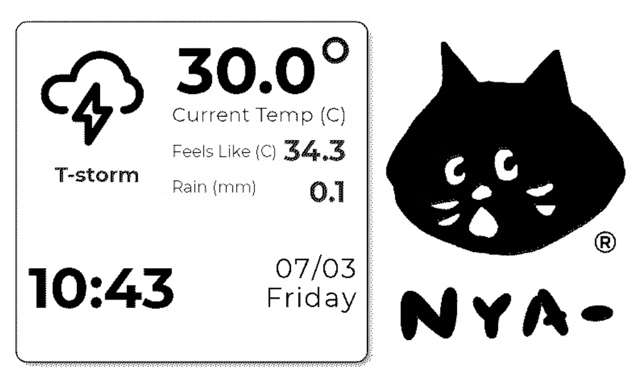 NYA Cat.png