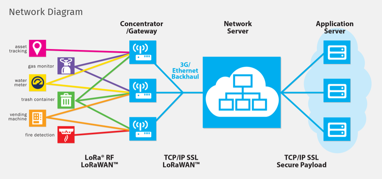 Network diagram.png