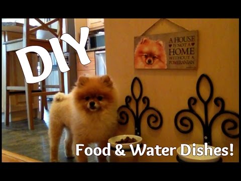 New Way to Set Up Your Pet's Food &amp;amp; Water Dishes!