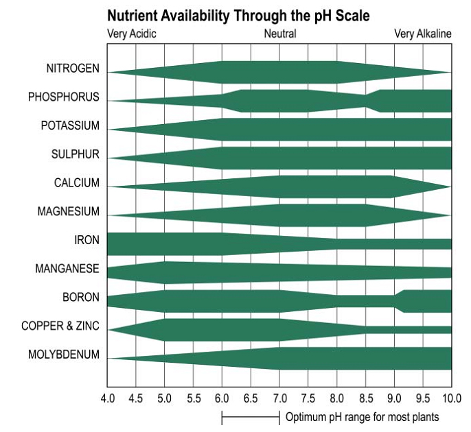 Nutrient-availability.jpg