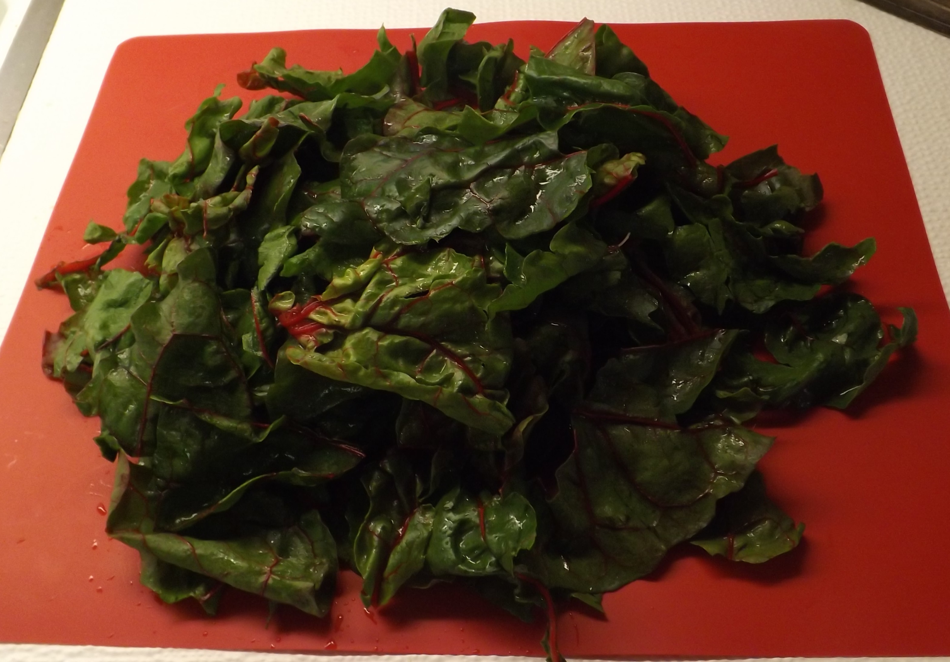 ORGANIC RED CHARD SALAD WITH GRILLED WILD STEELHEAD TROUT 020.JPG