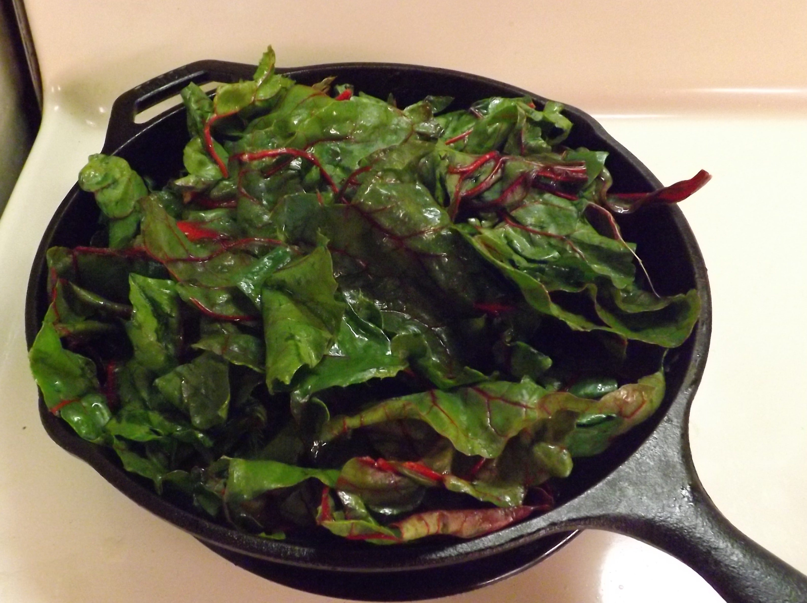 ORGANIC RED CHARD SALAD WITH GRILLED WILD STEELHEAD TROUT 027.JPG