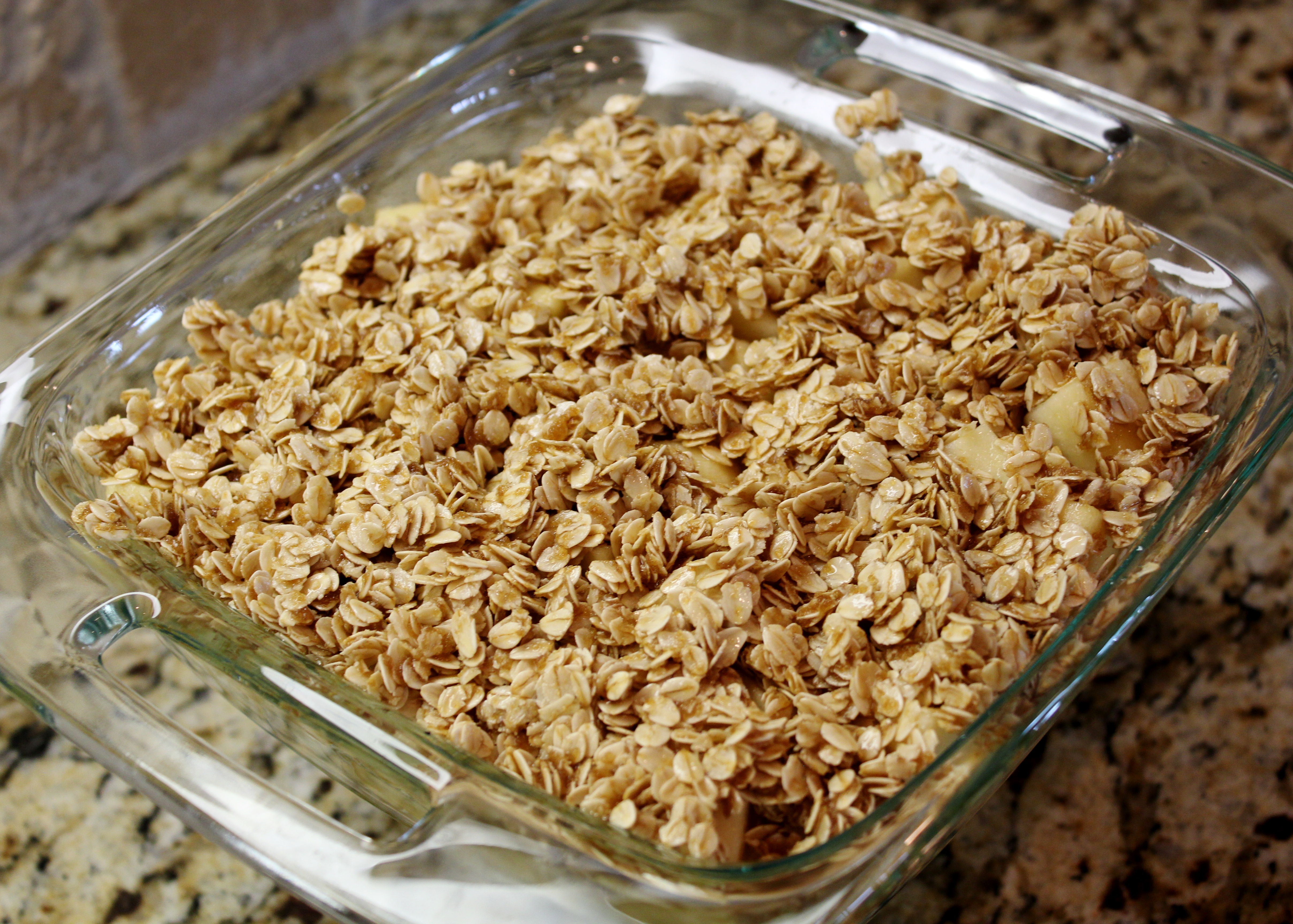 Oatmeal Apple Crisp (5).JPG