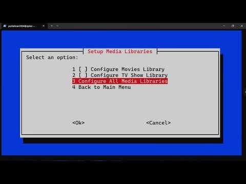 Optimize Your Plex Library Settings