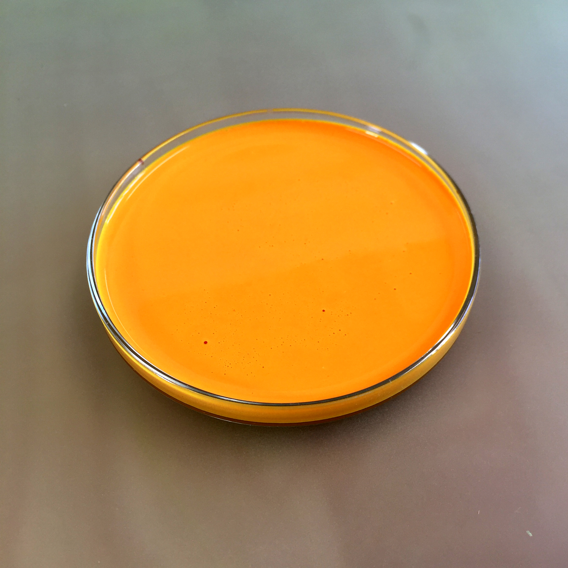 Orange thermochromic paint 11.jpg