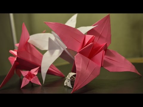 Origami: How to Make a Paper Lily