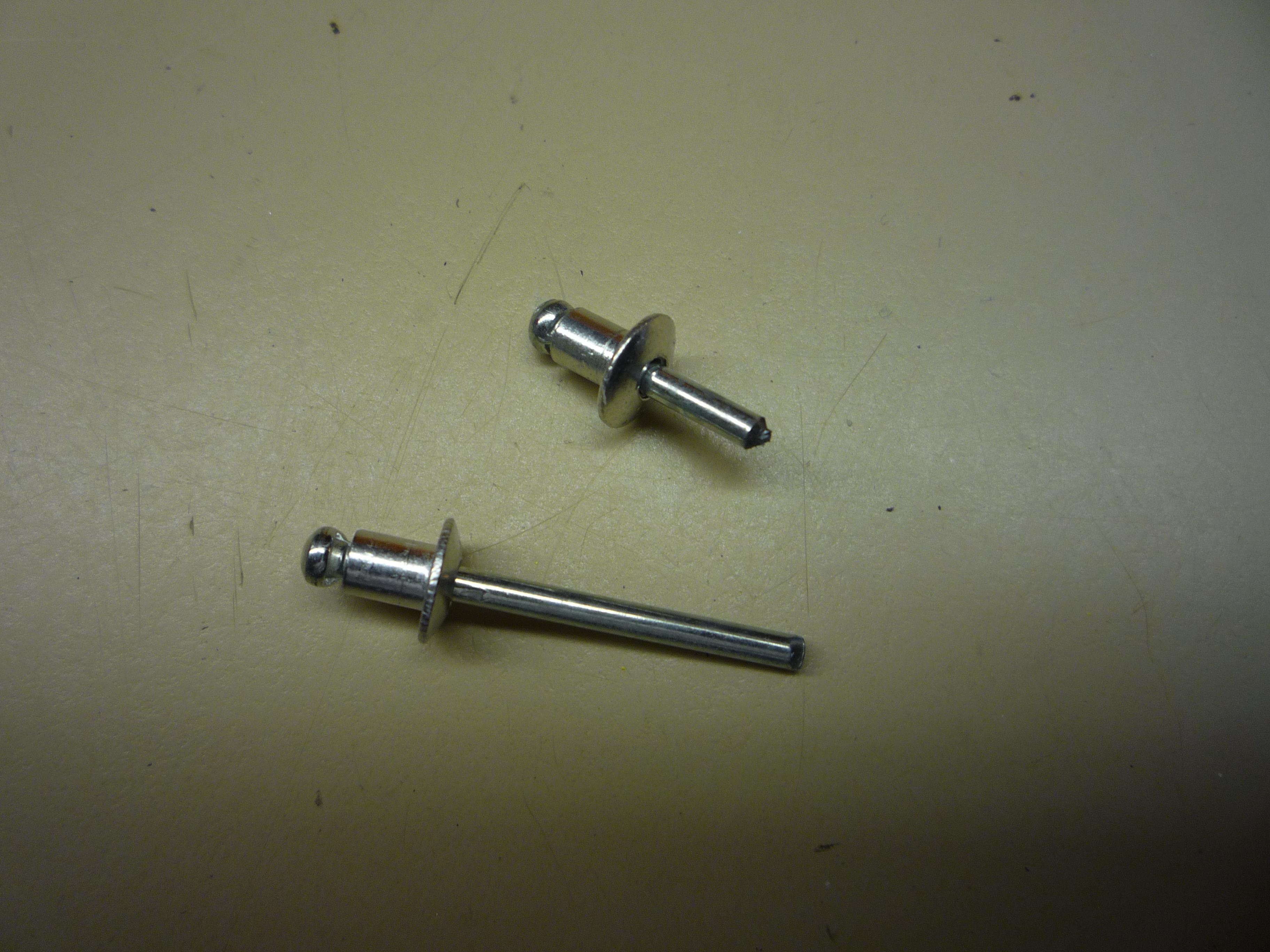 P1000330.JPG