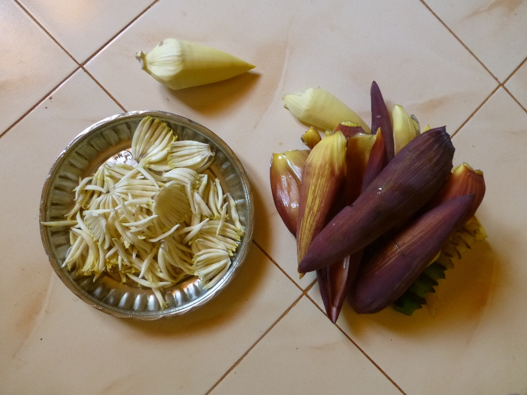P1000492.JPG