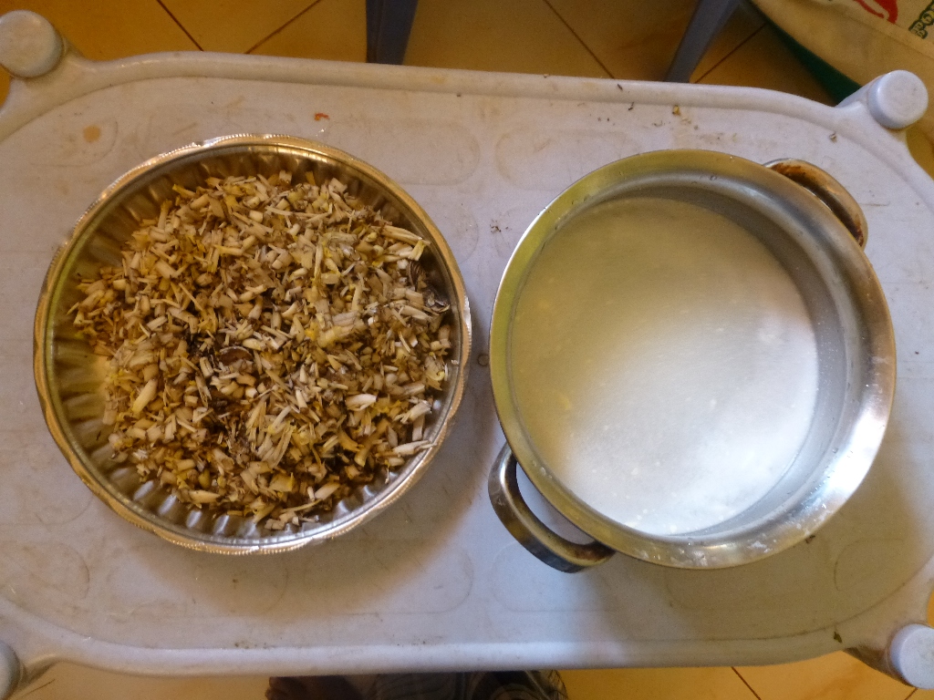 P1000498.JPG