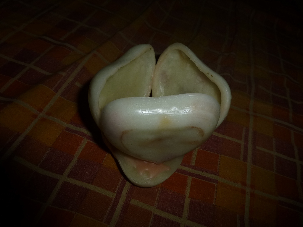 P1000592.JPG