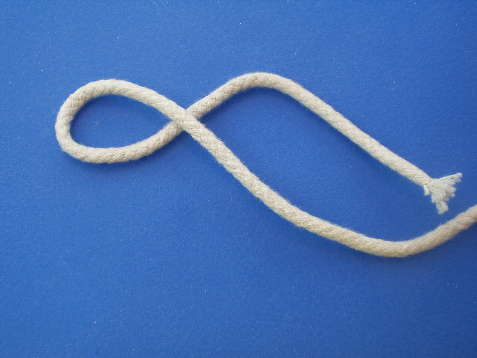 P1010004 (8).JPG