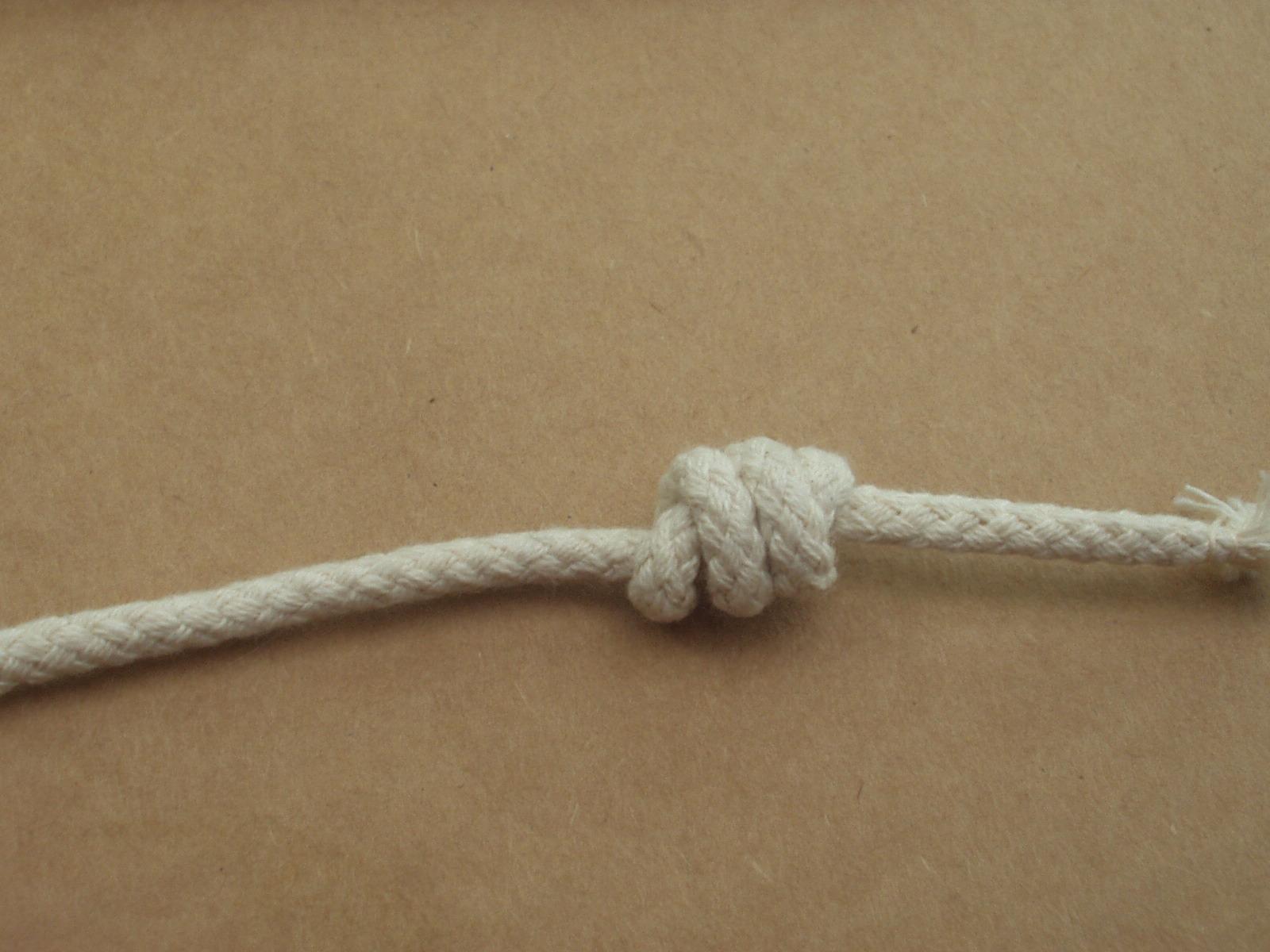 P1010008 (1).JPG