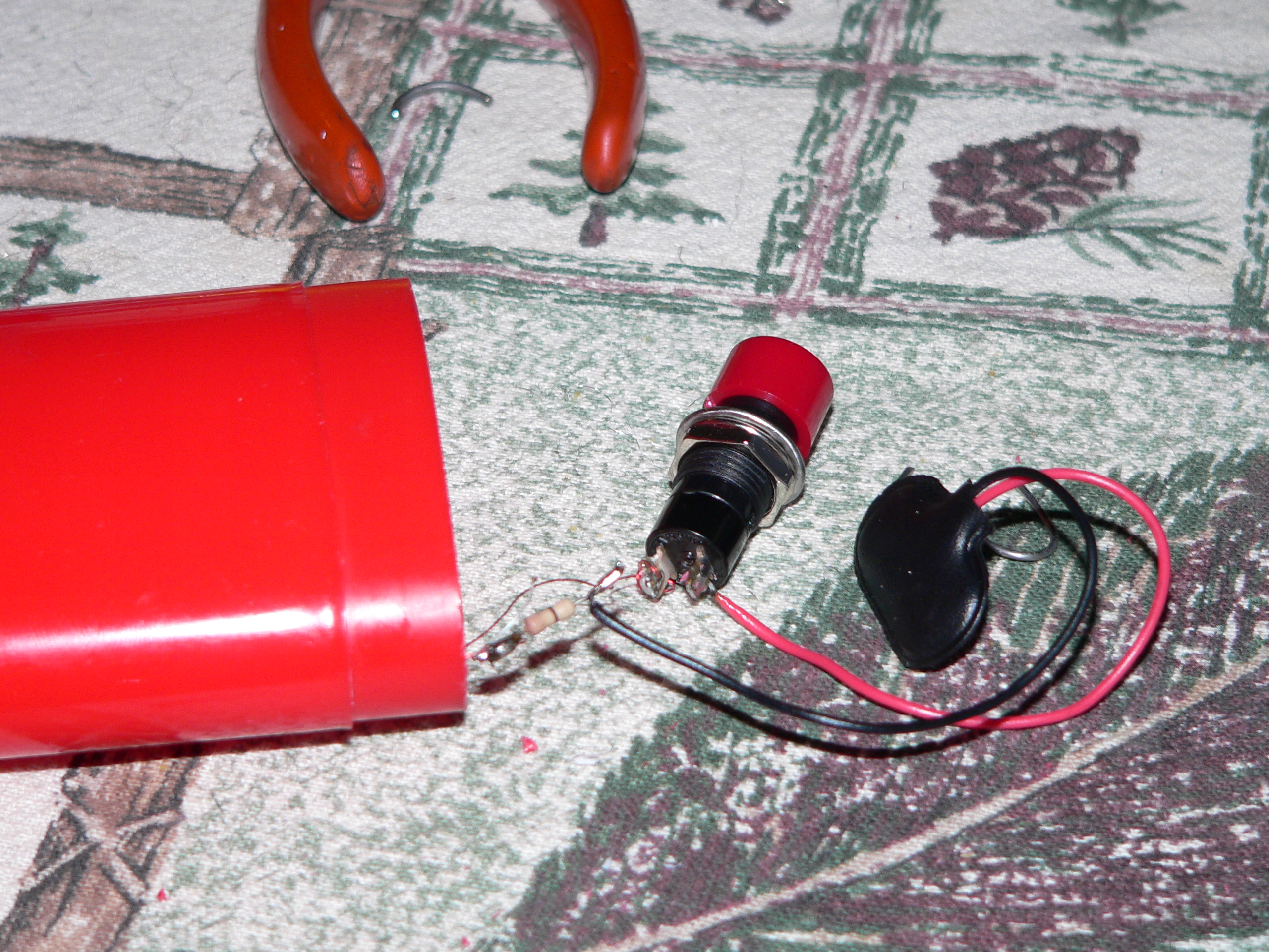 P1010298.JPG