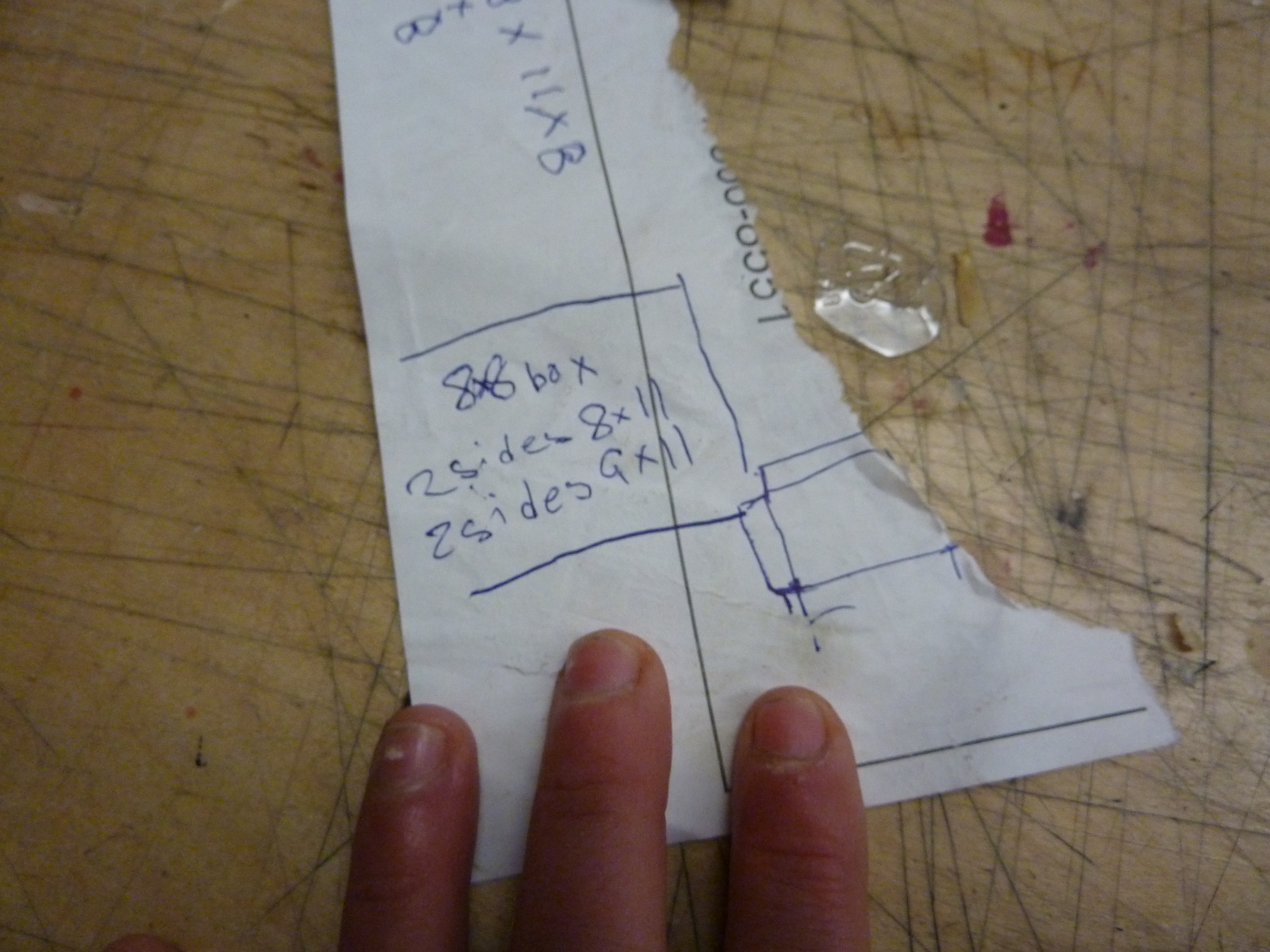 P1010441.JPG