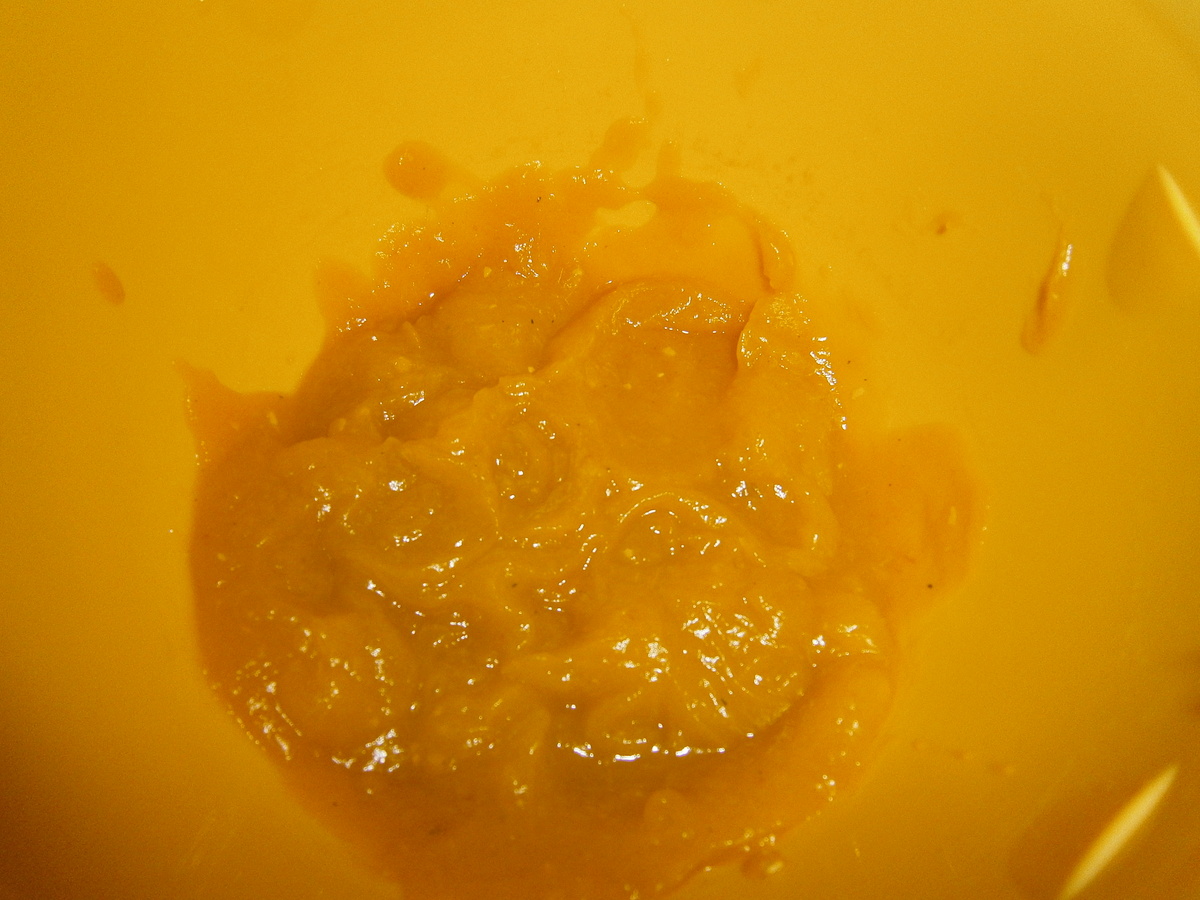 P1010498.JPG