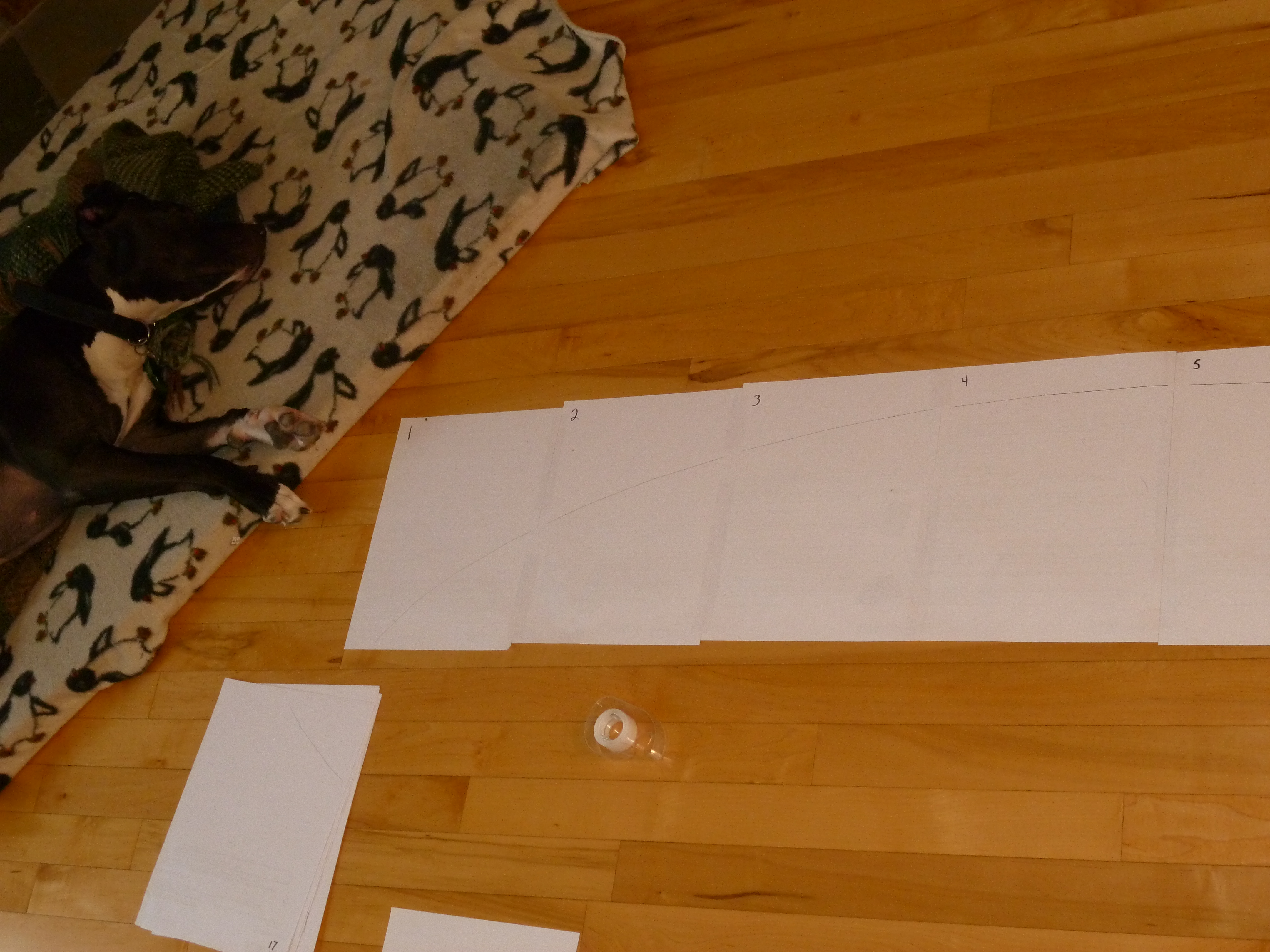 P1010527.JPG