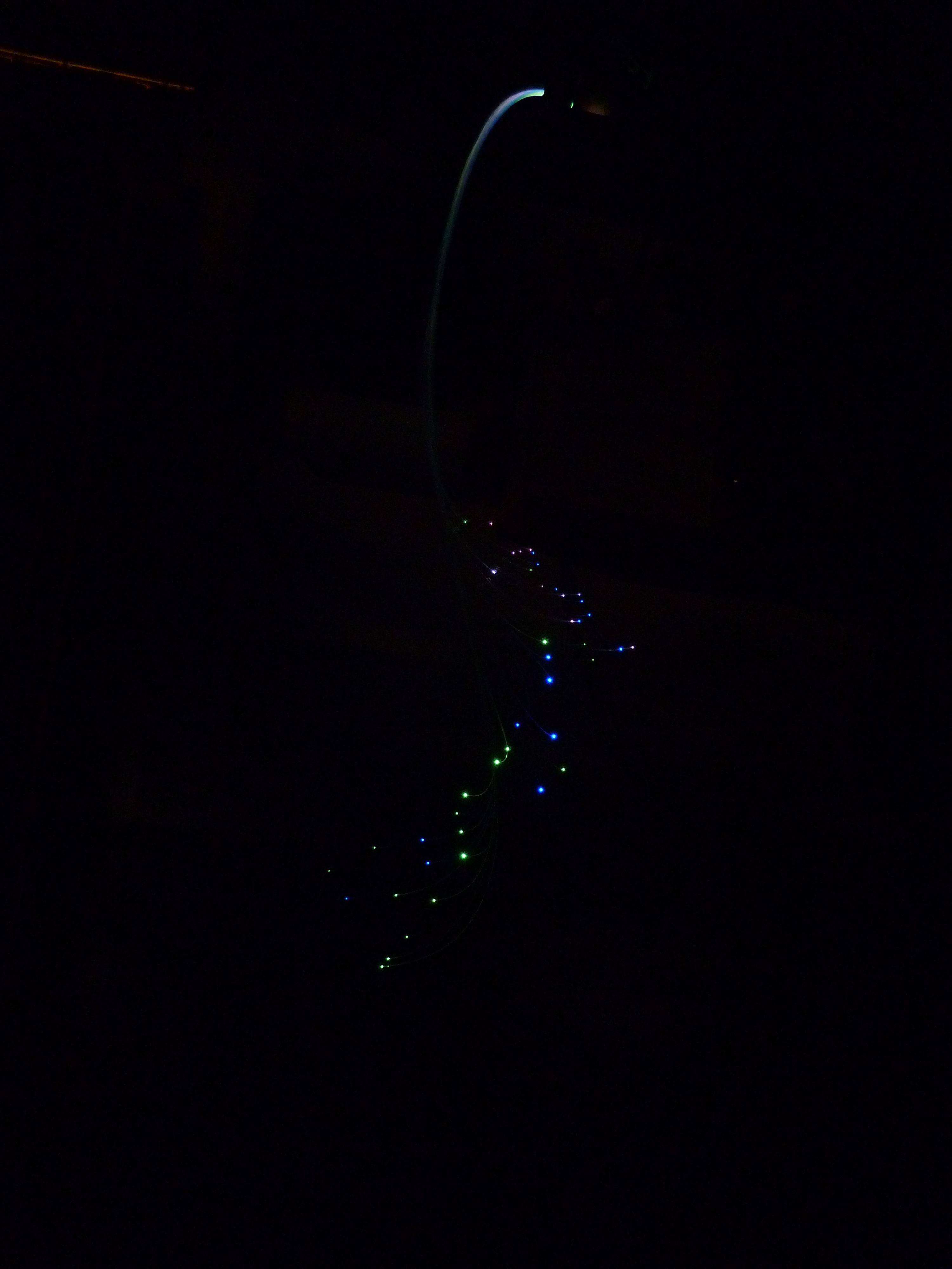 P1010535.JPG