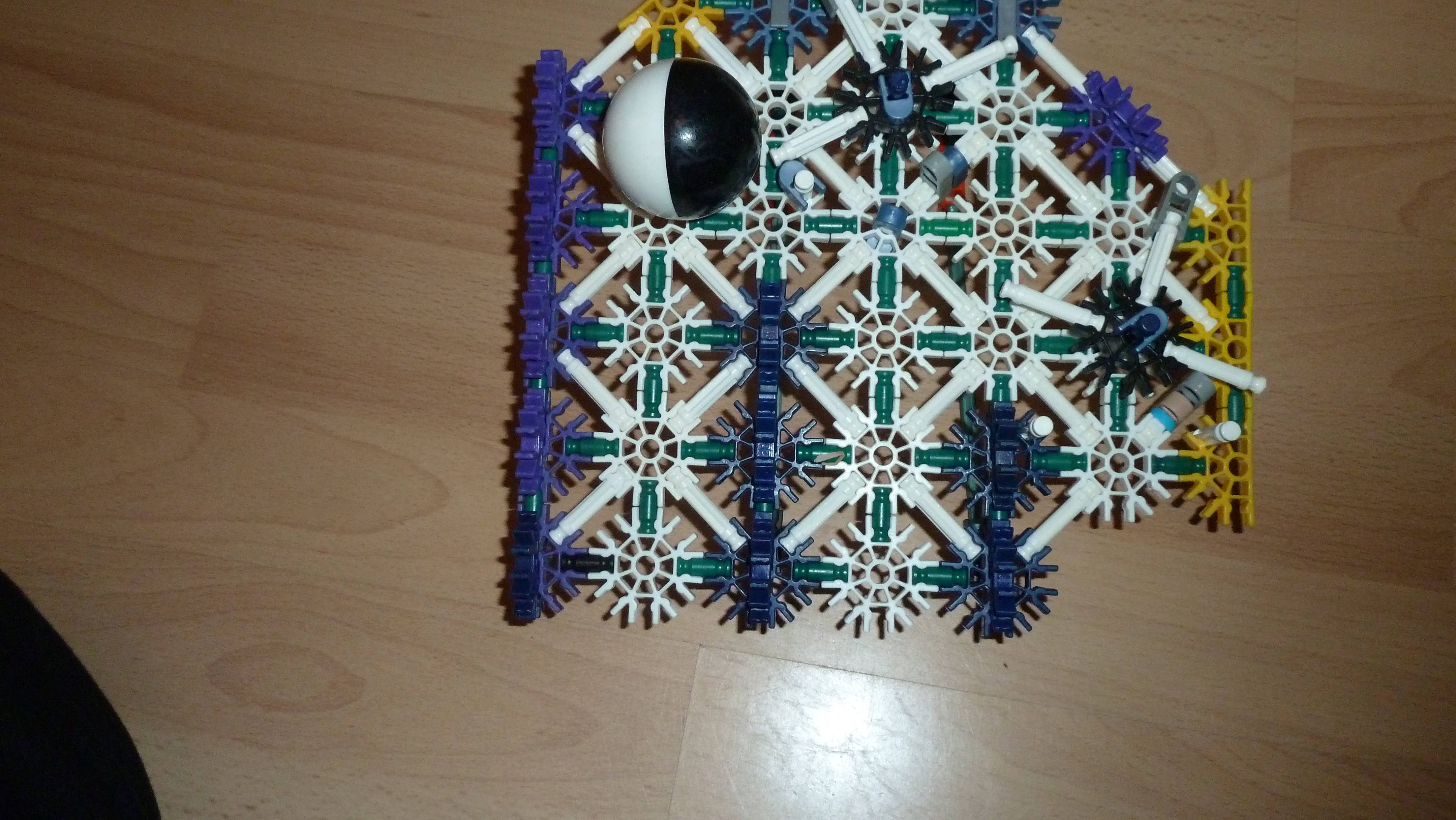 P1010723.JPG