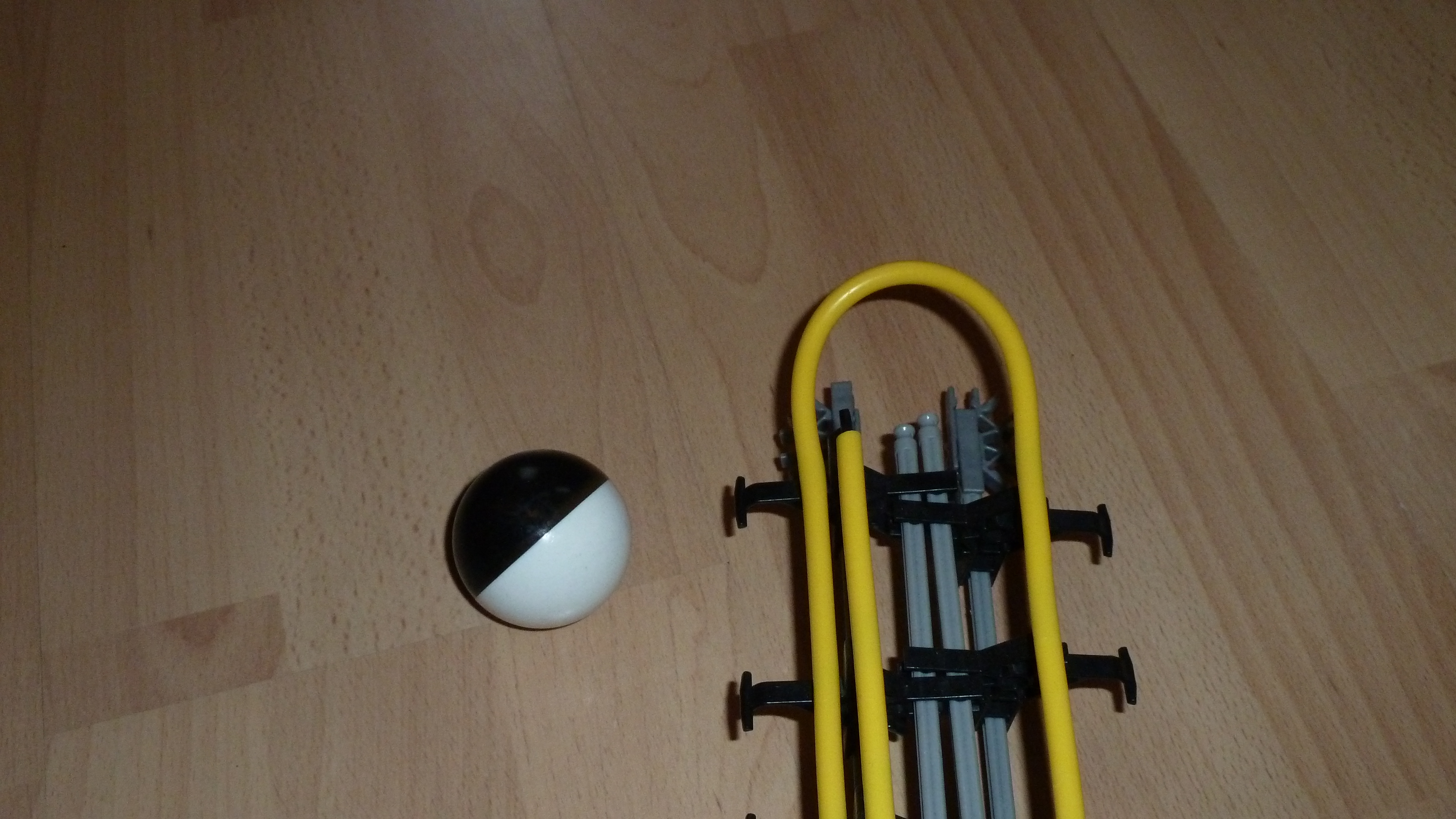 P1010754.JPG
