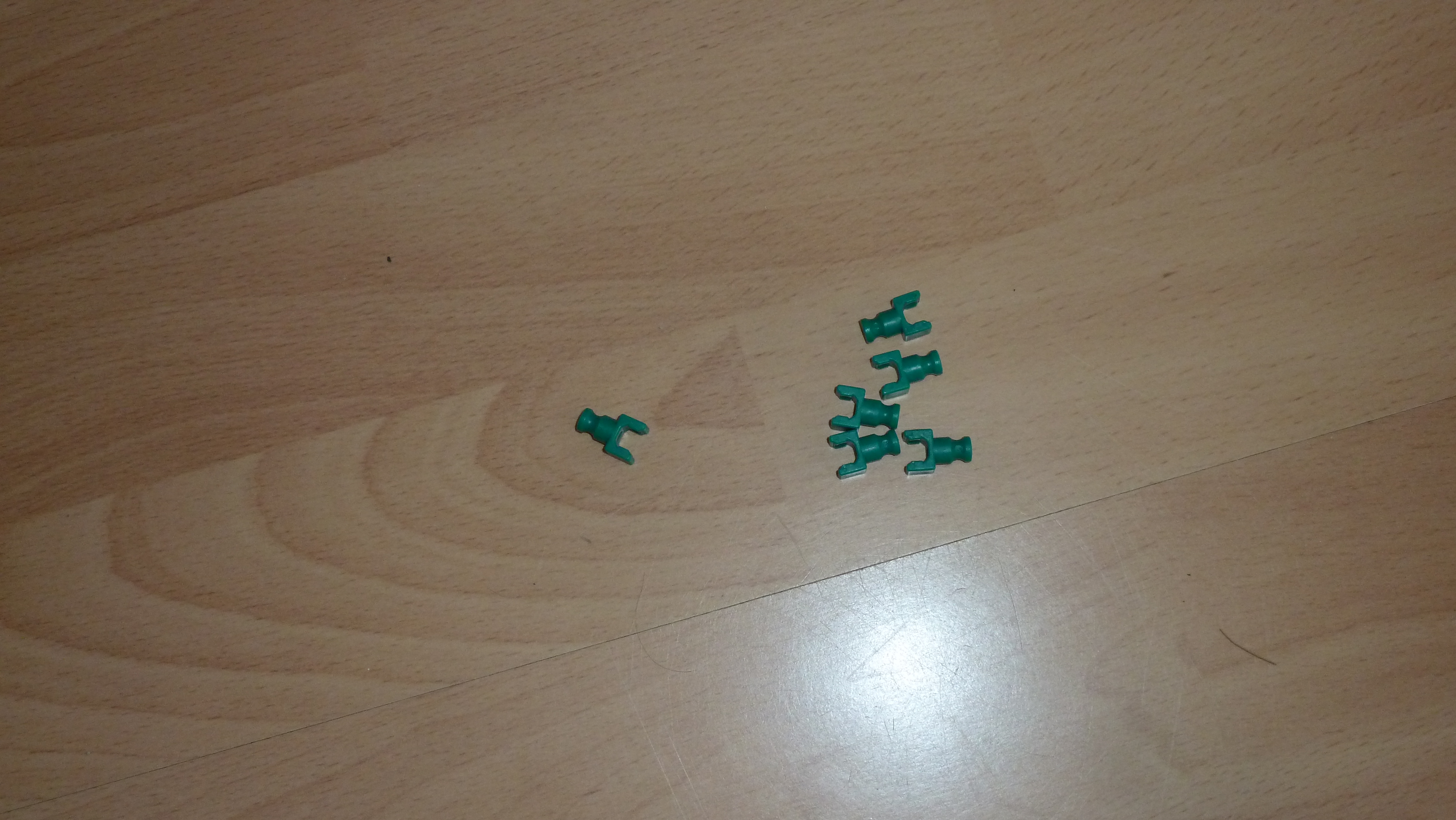 P1020090.JPG