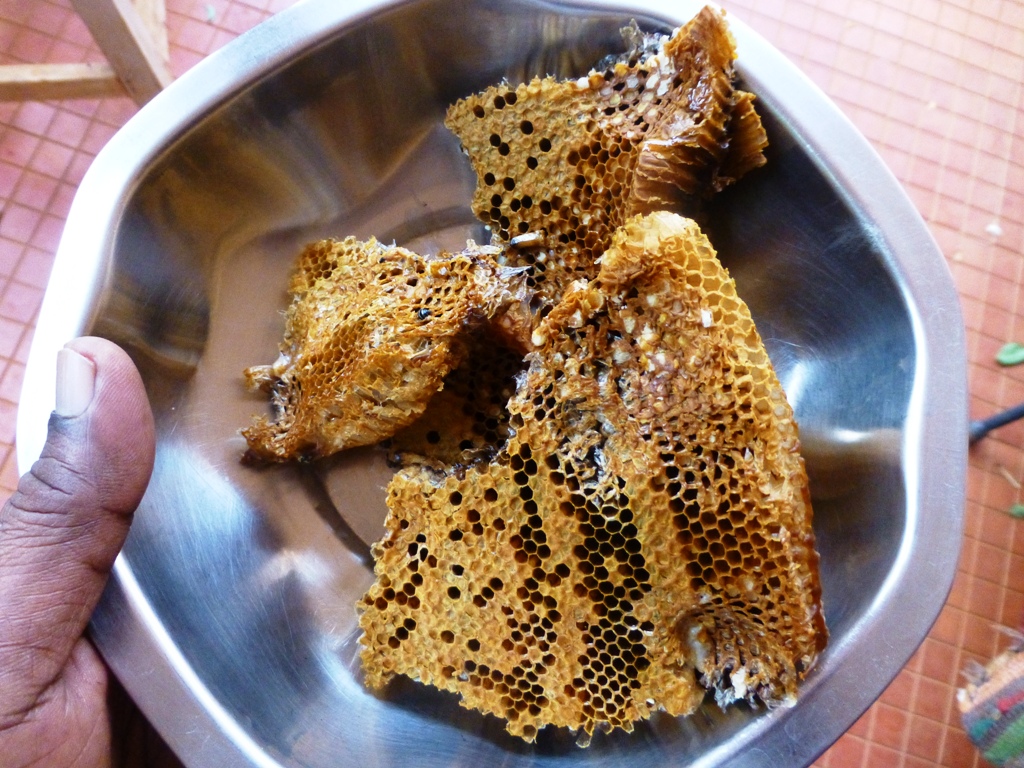 P1020734.JPG