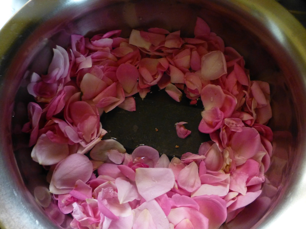 P1020746.JPG