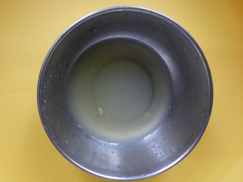 P1020758.JPG