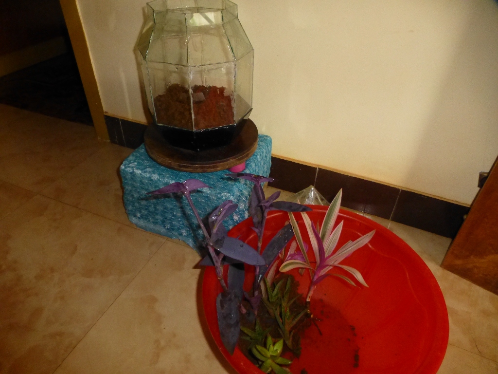 P1020977.JPG