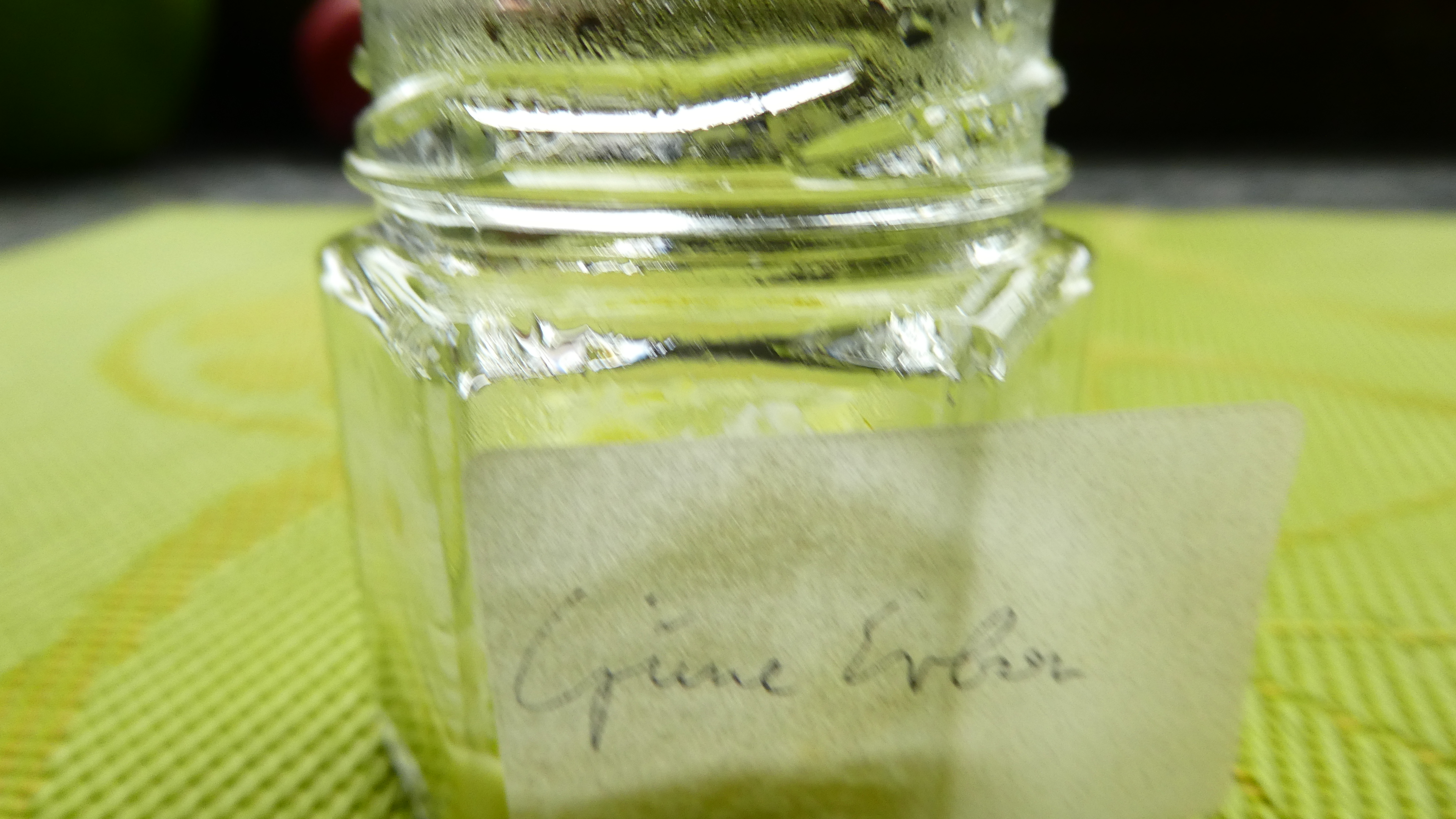 P1030156.JPG
