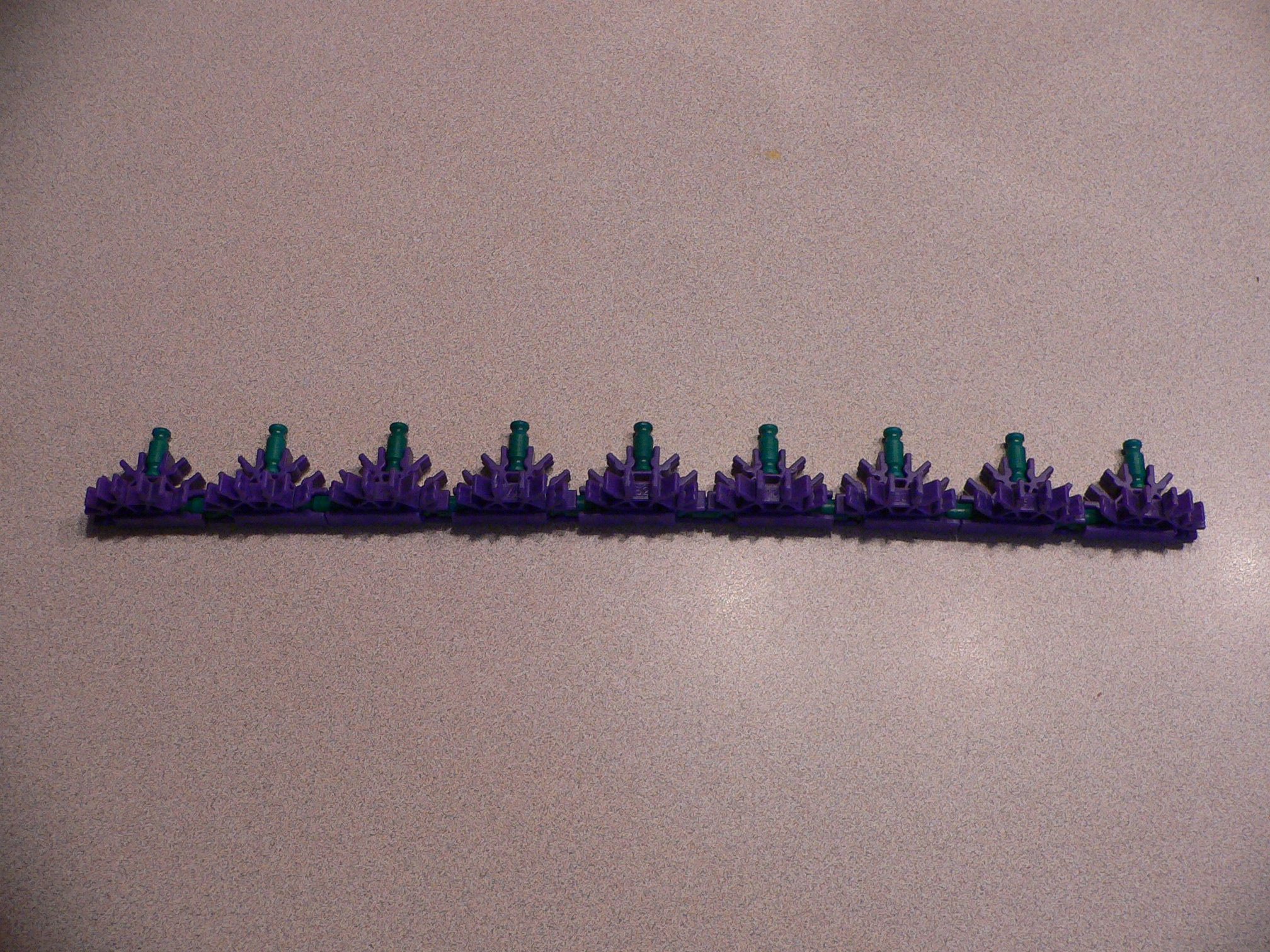 P1030308.JPG
