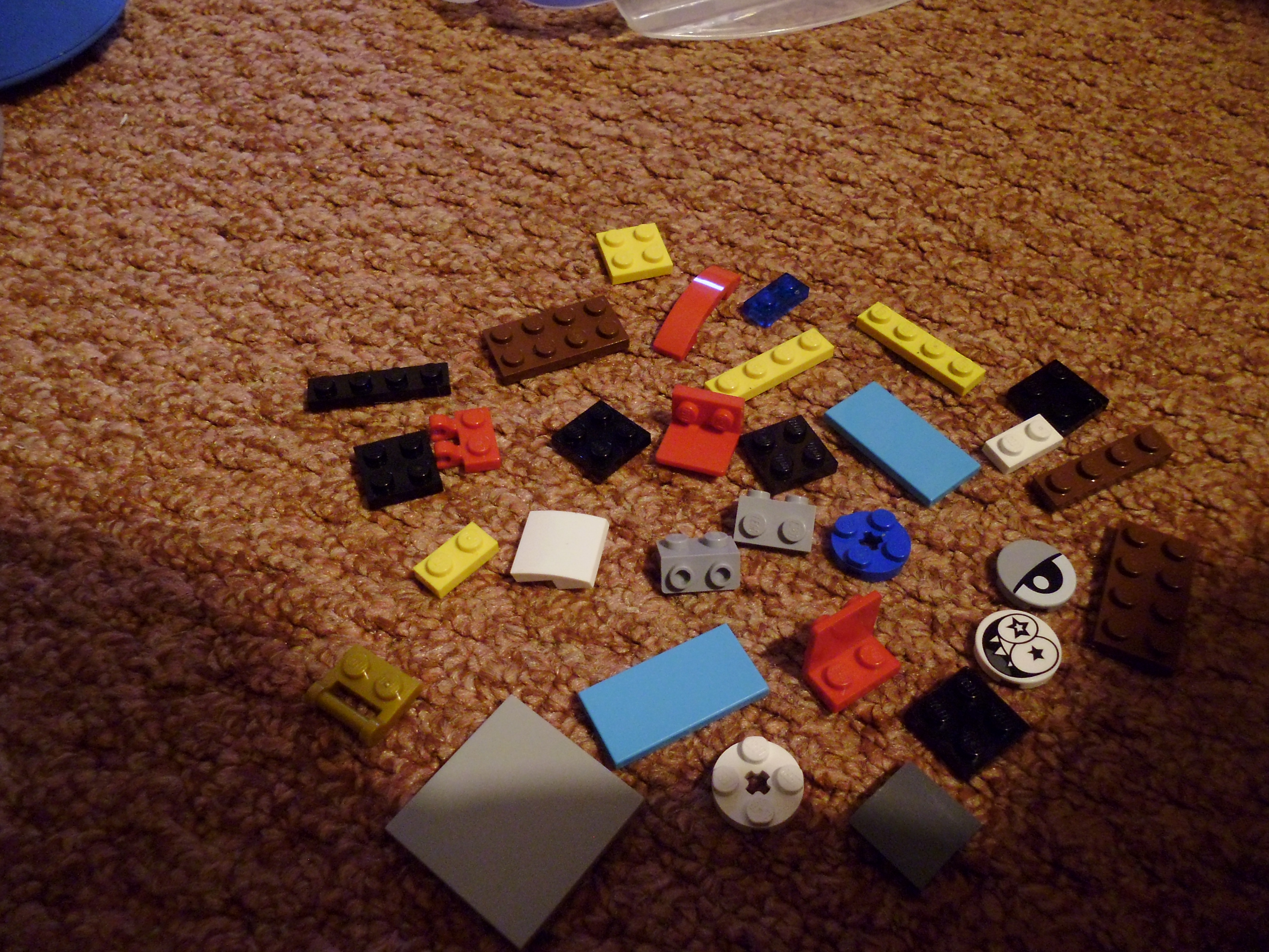 P1030804.JPG