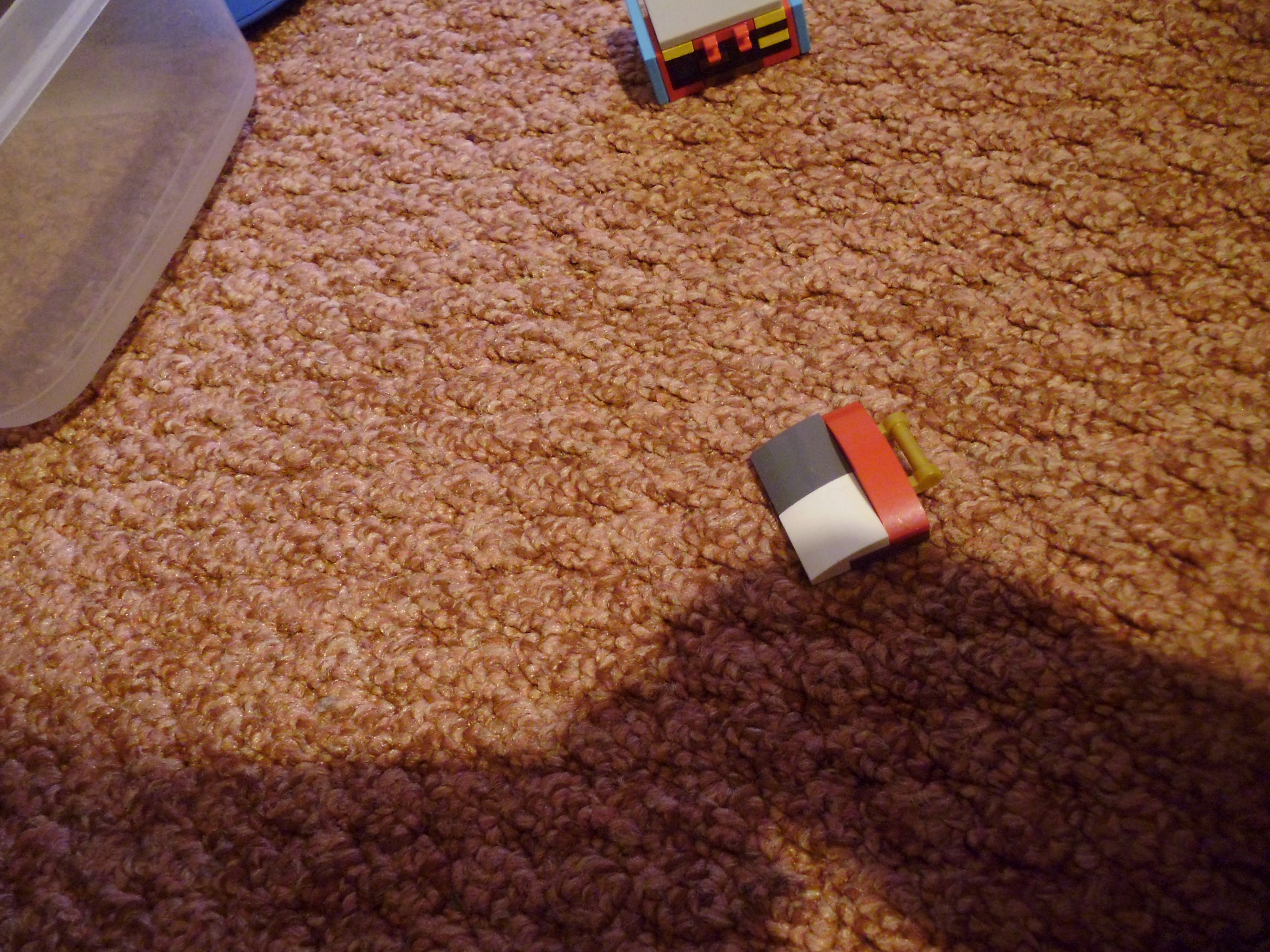 P1030823.JPG
