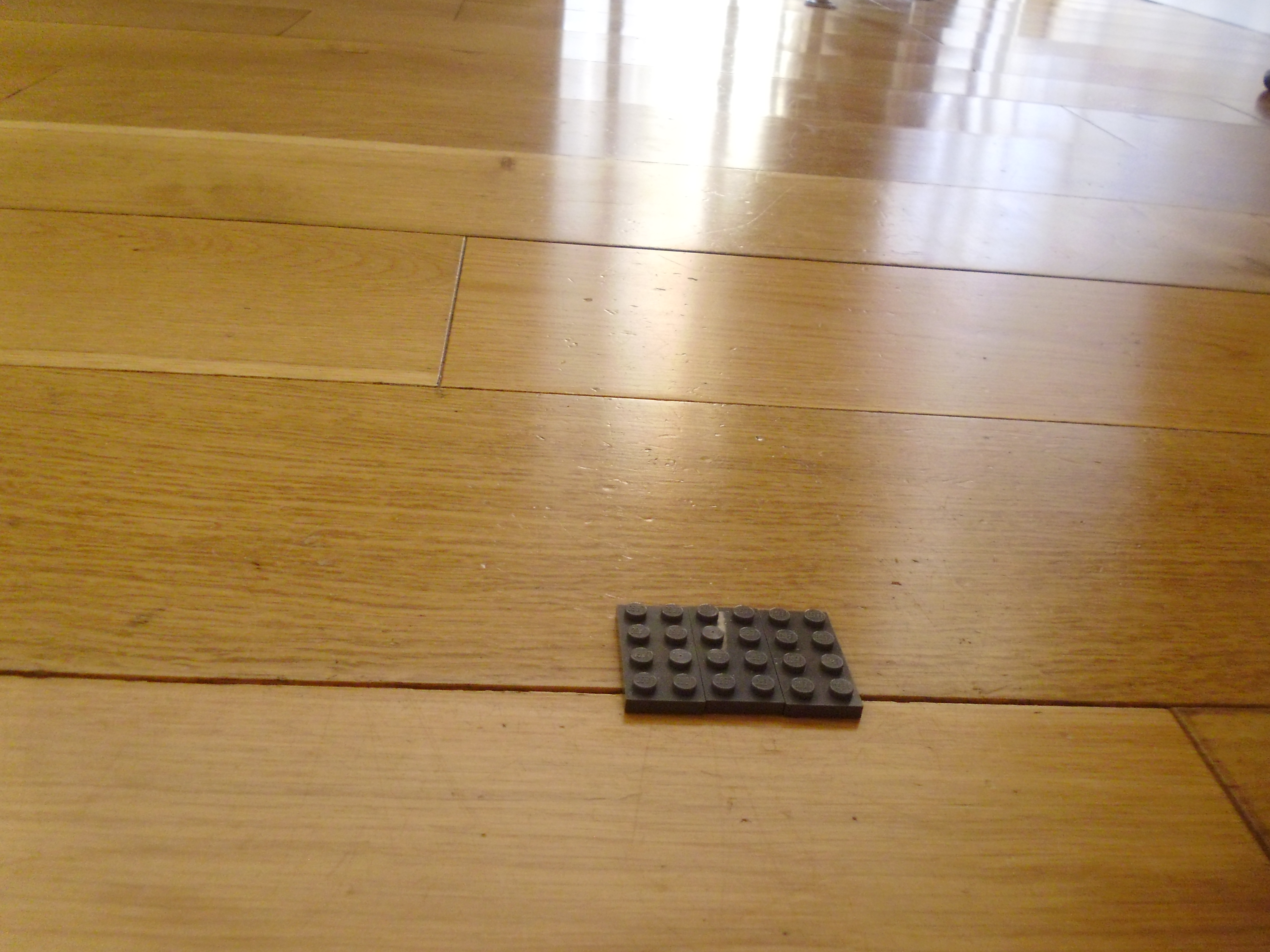 P1040049.JPG