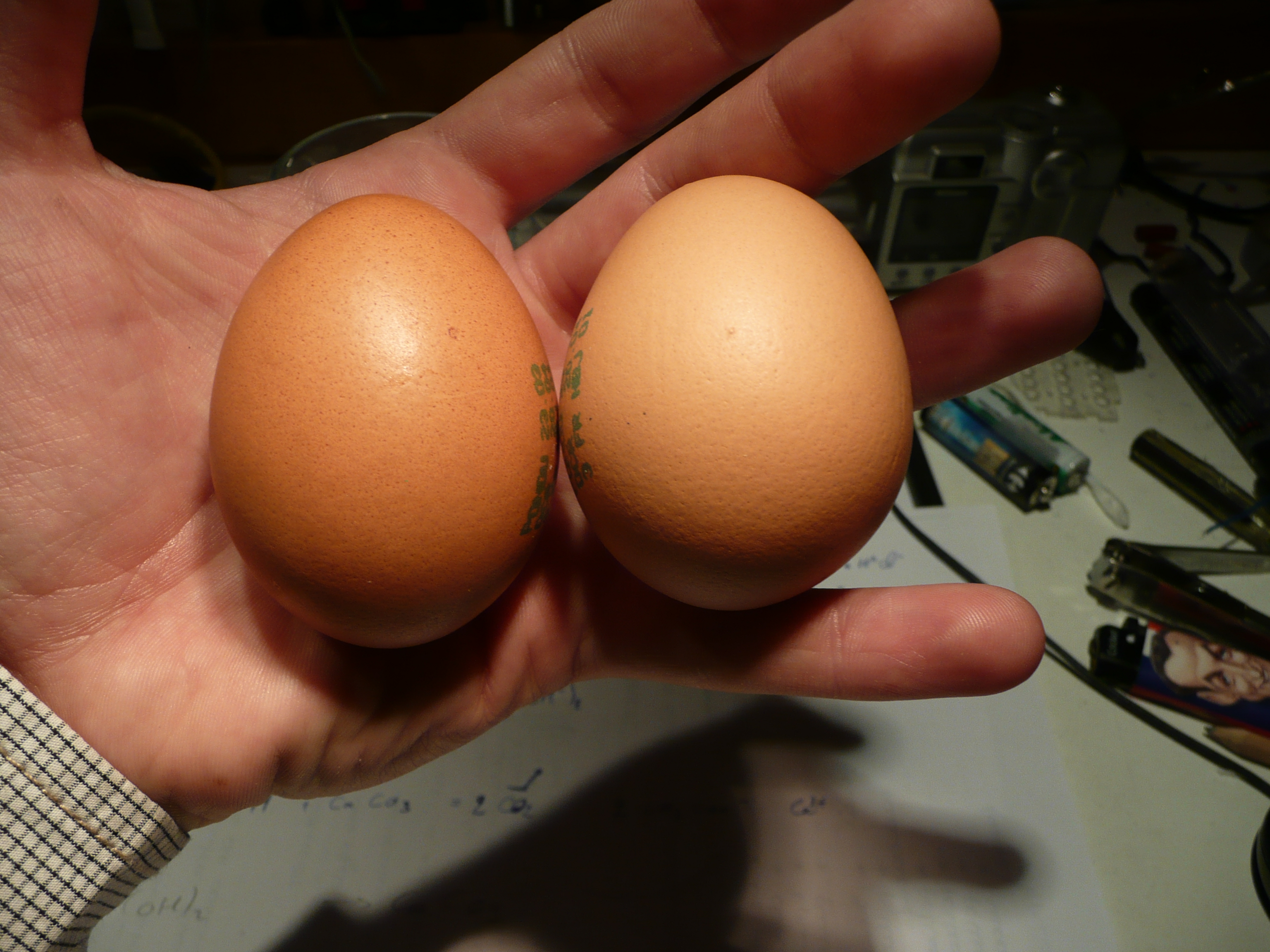 P1050217.JPG