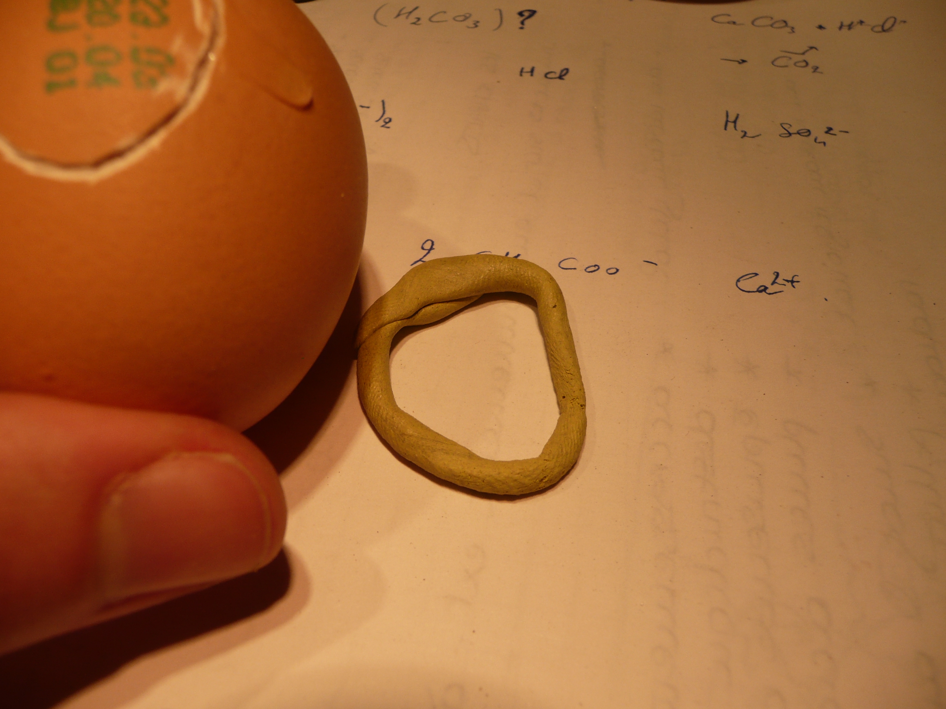 P1050220.JPG