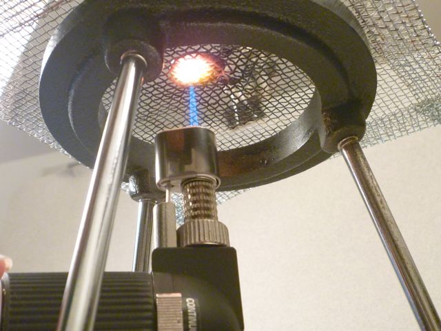 P1050350.jpg