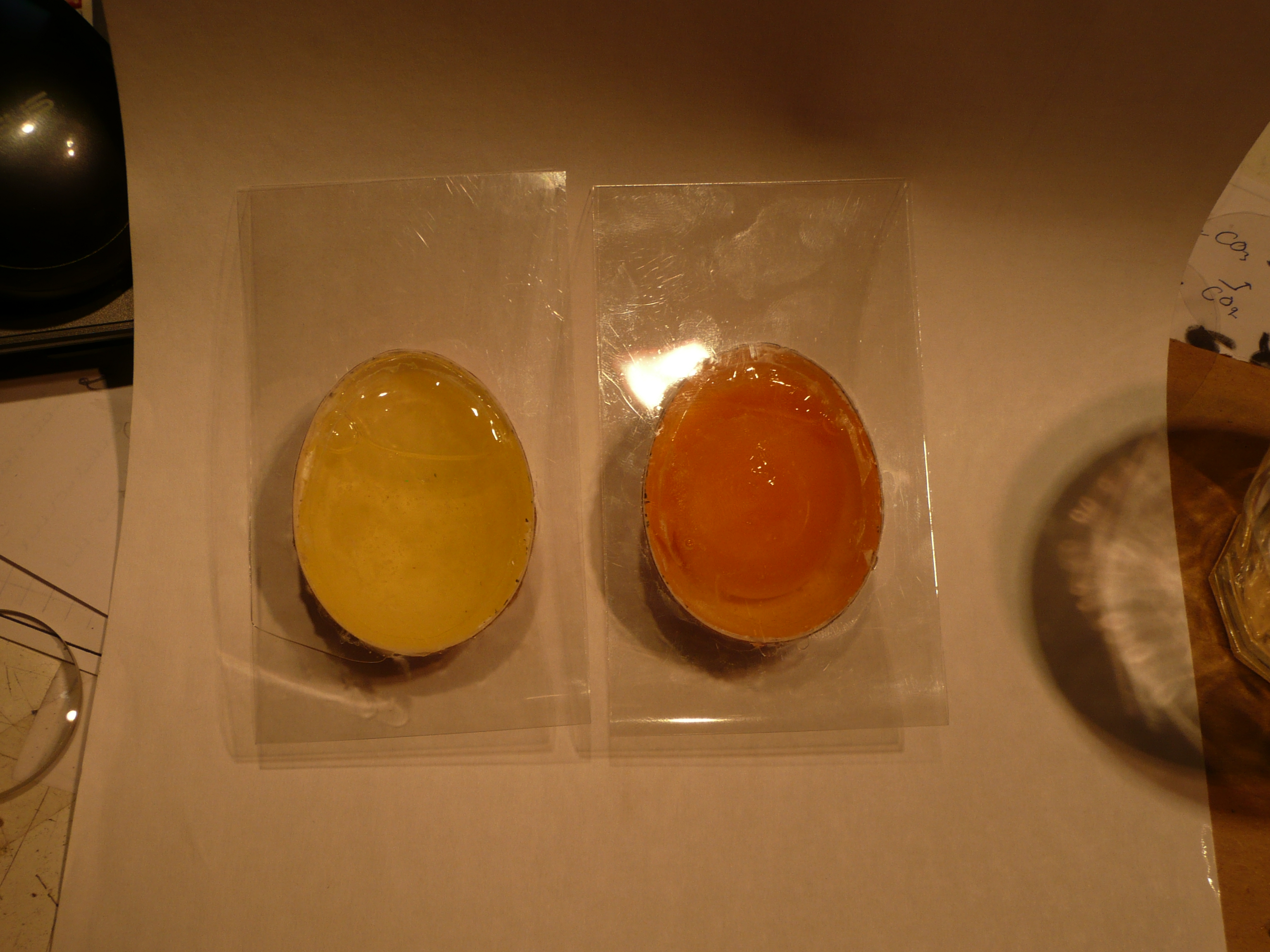 P1050452.JPG