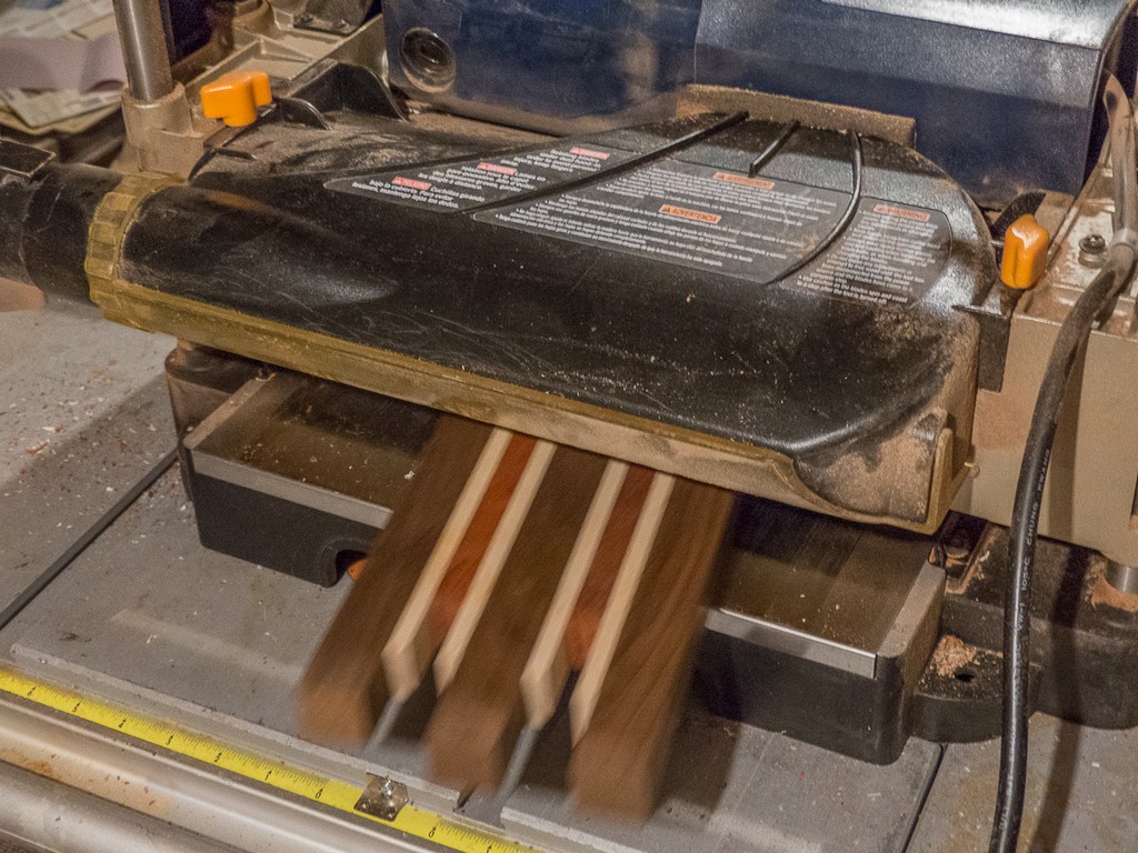 P1050653.jpg