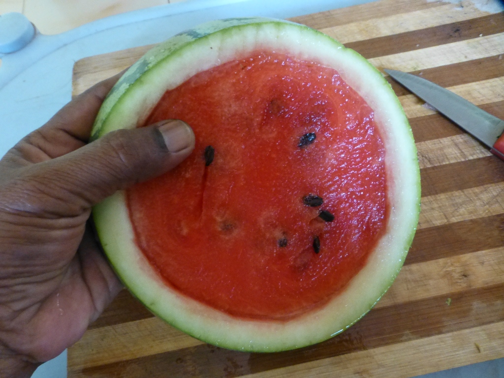 P1070651.JPG