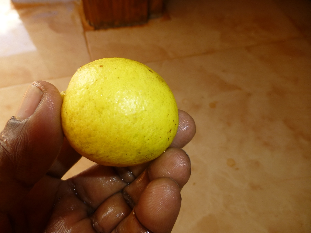 P1090210.JPG
