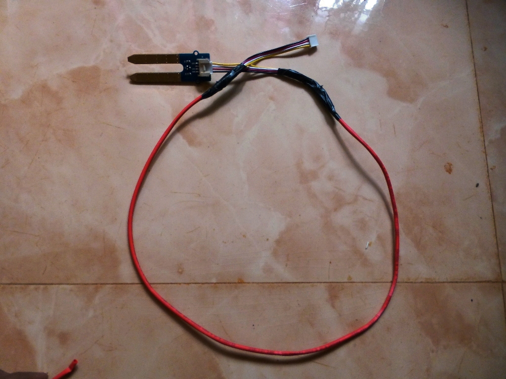 P1100005.JPG