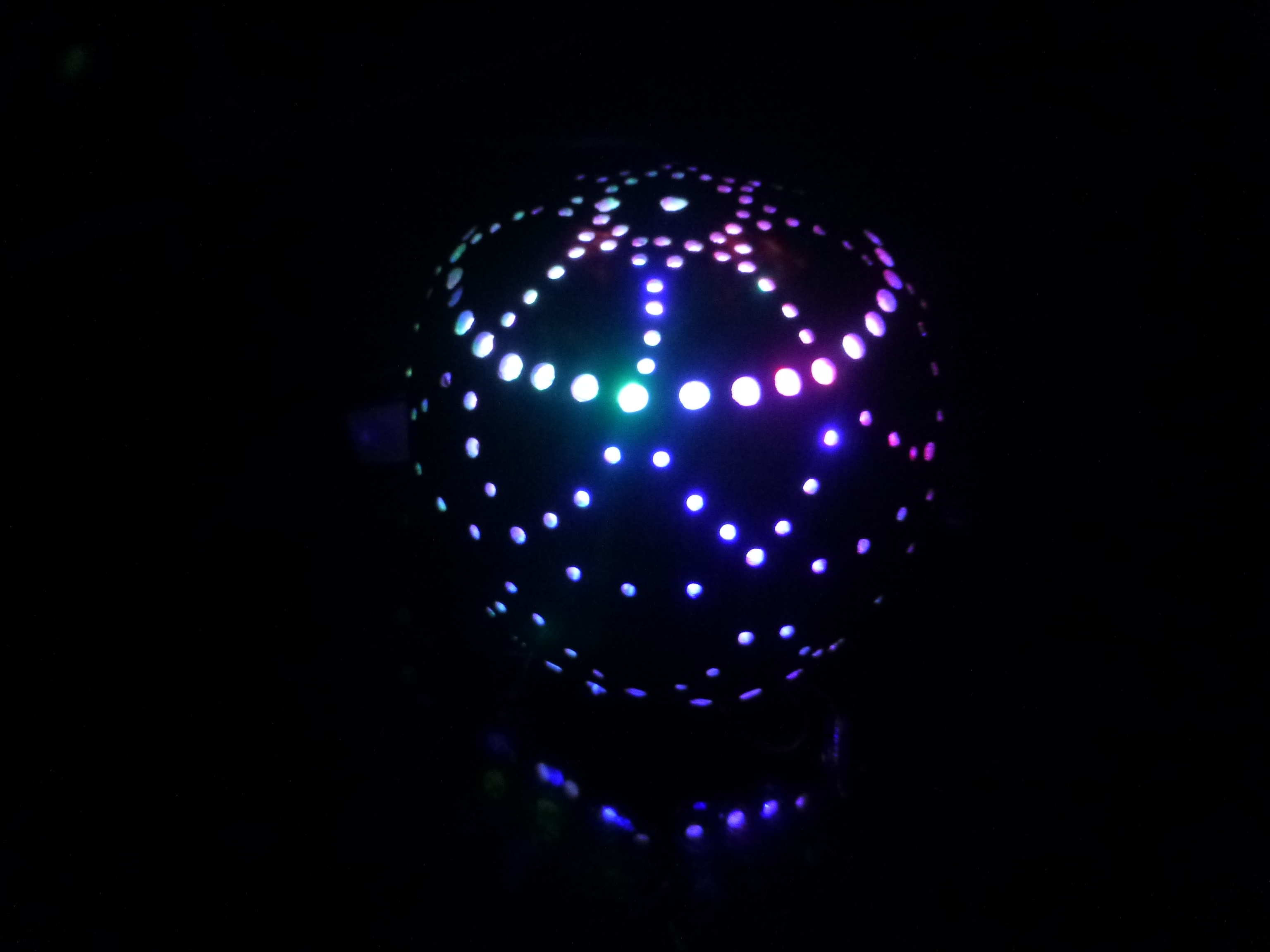 P1130043.JPG