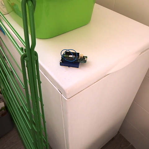 P1150008.JPG