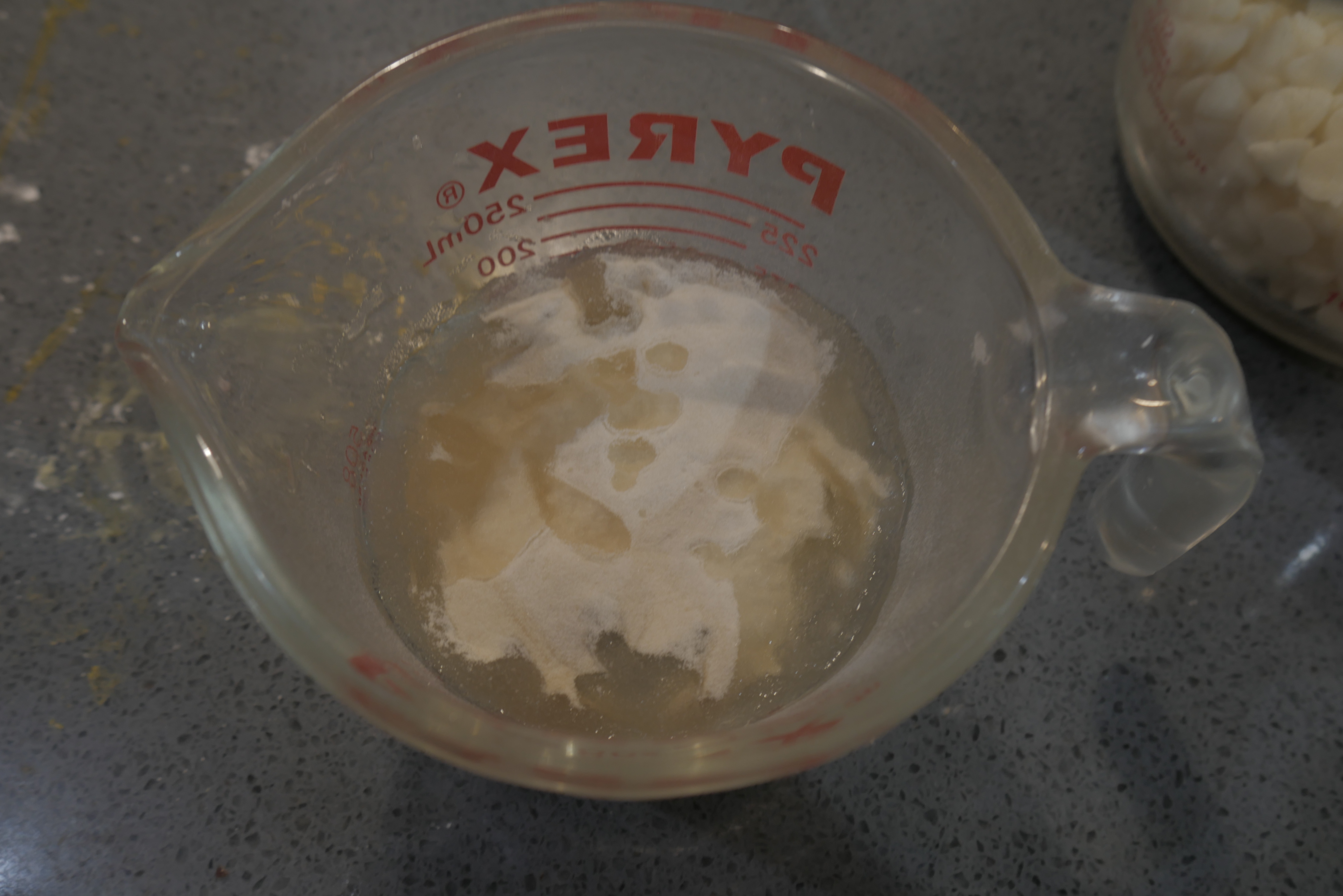 P1150446.JPG