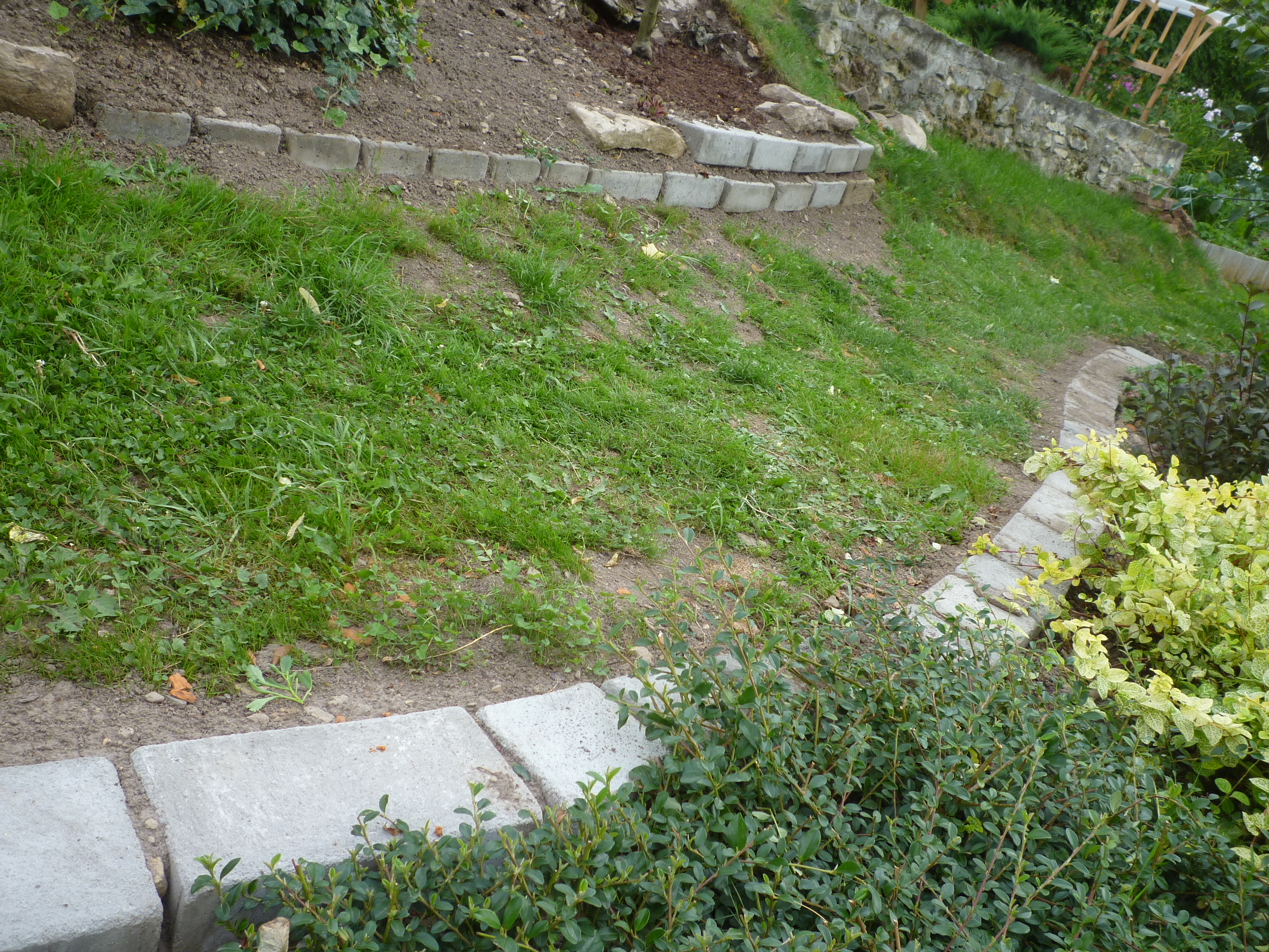 P1160763.JPG